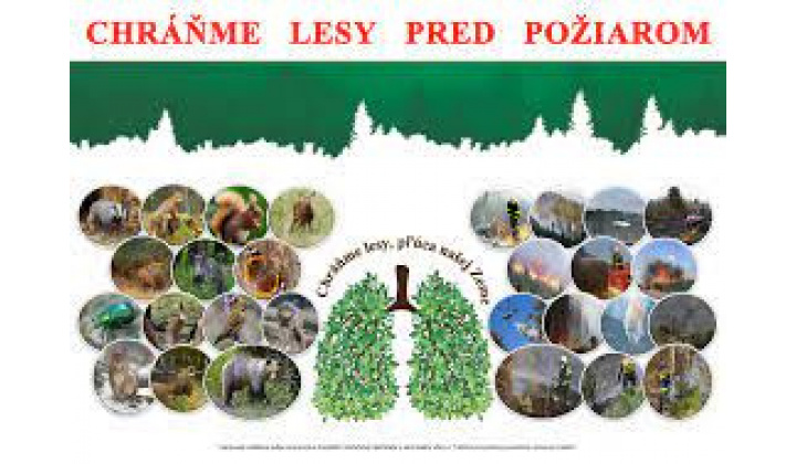 Opatrenia na zabezpečenie ochrany lesov pred požiarmi