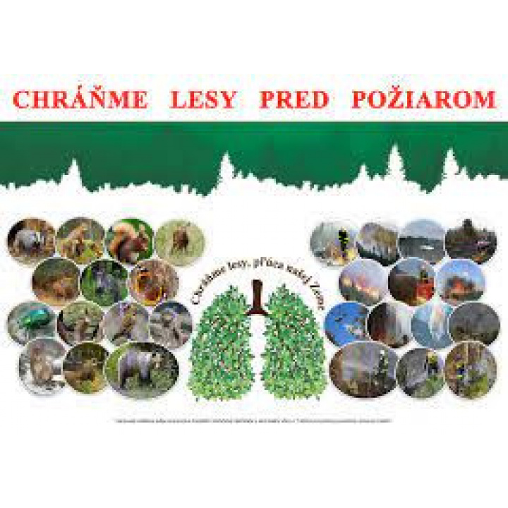 Opatrenia na zabezpečenie ochrany lesov pred požiarmi