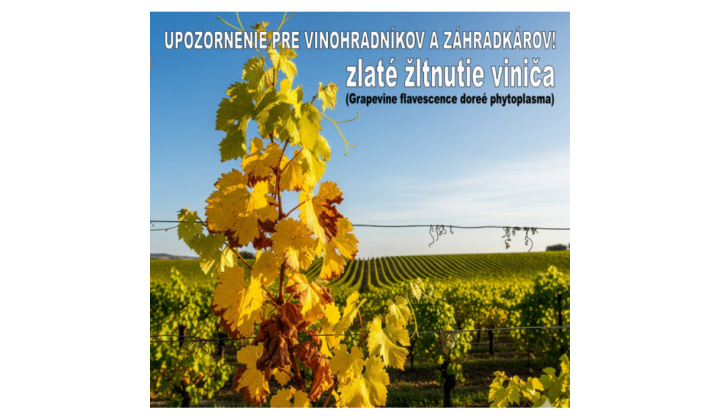 Upozornenie - ochrana vinohradov