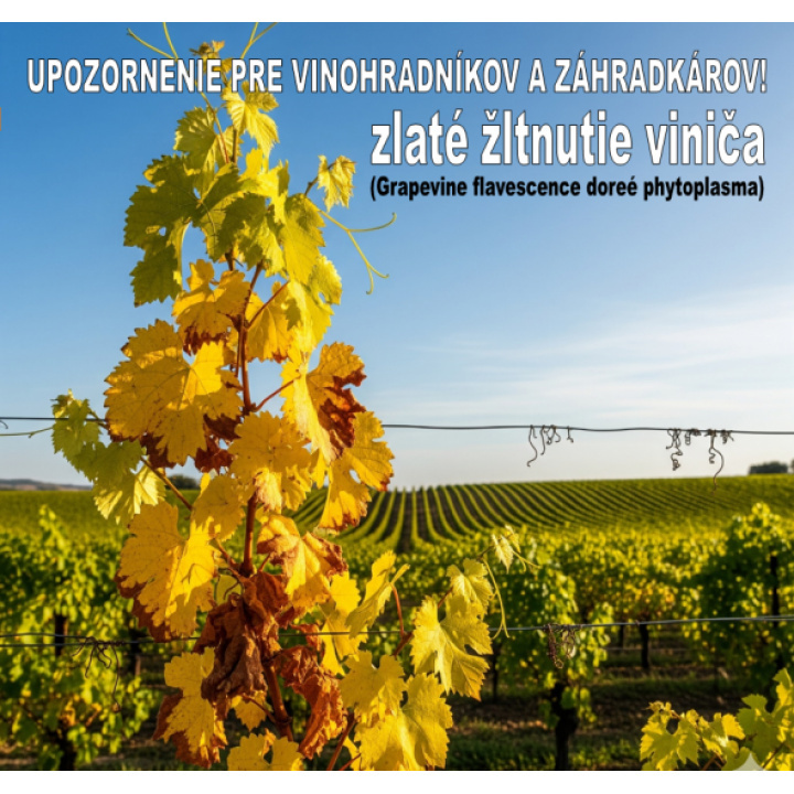 Upozornenie - ochrana vinohradov